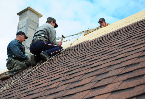 Best Roof Gutter Cleaning  in Monticello, UT